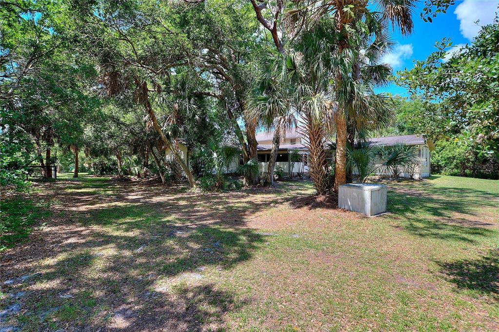 3641 Turtle Mound Road Melbourne, FL 32934 - Photo 76 of 77 a view of a tree in front of a house