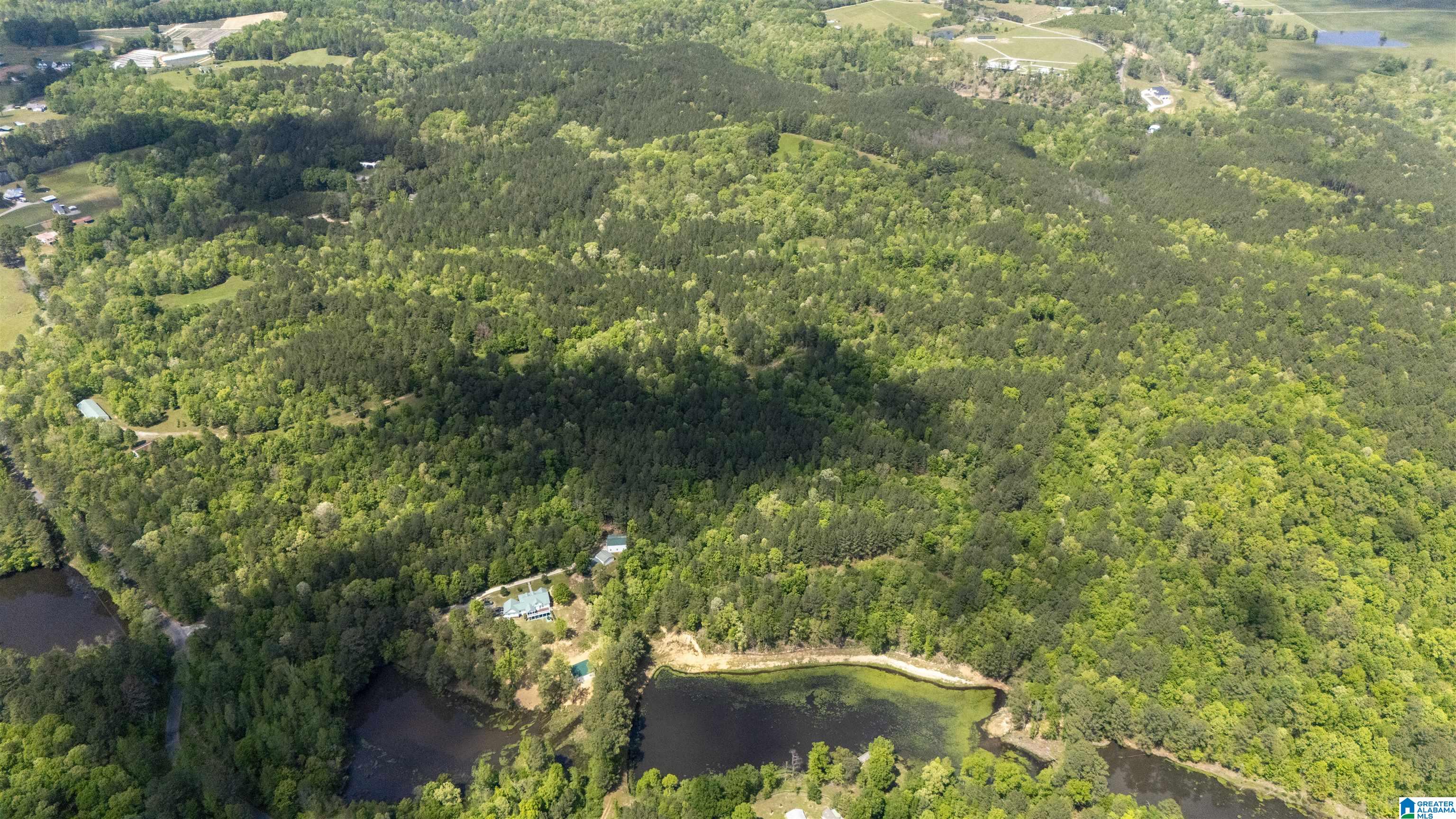 2121 Center Hill Road Trafford, AL 35172 - Photo 25 of 100
