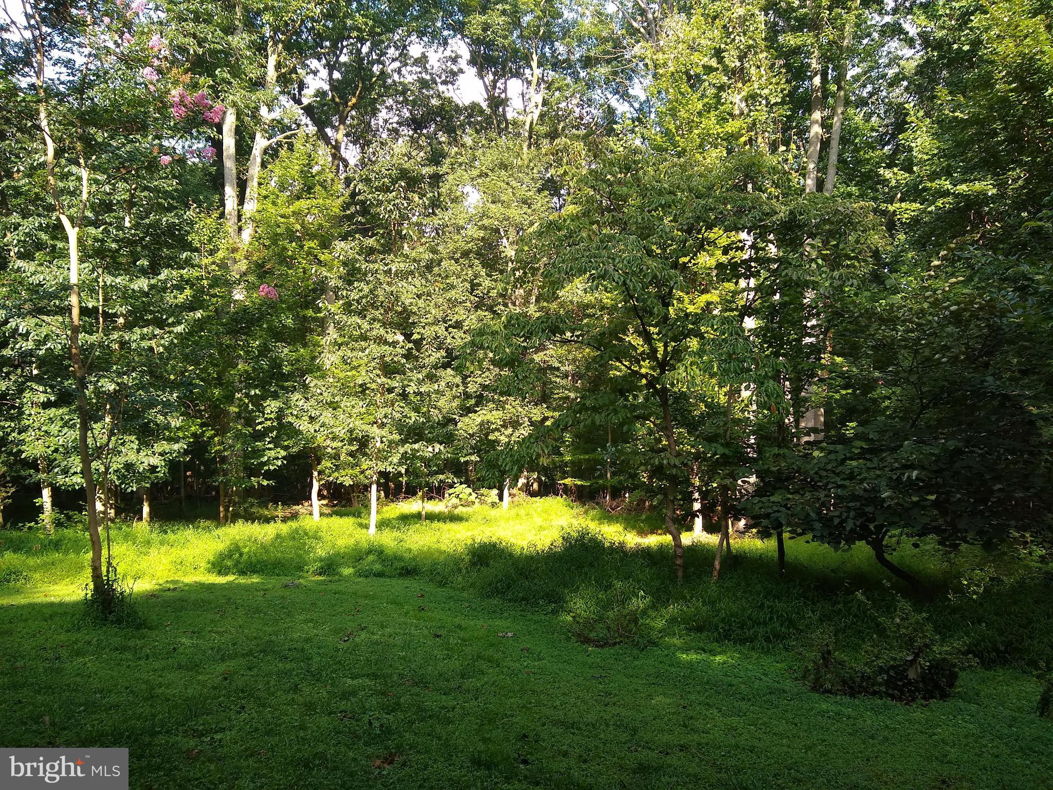 803 Maplehurst Lane Monkton, MD 21111 - Photo 15 of 24 sideview