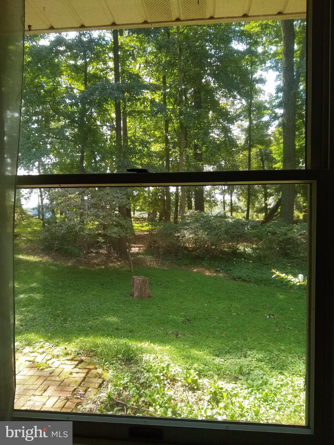 803 Maplehurst Lane Monkton, MD 21111 - Photo 17 of 24 Master bedroom view