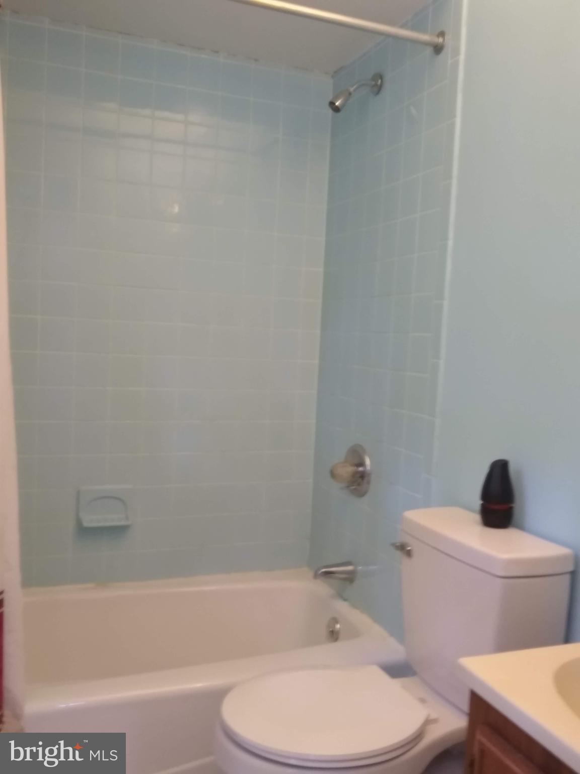 803 Maplehurst Lane Monkton, MD 21111 - Photo 18 of 24 Master bath