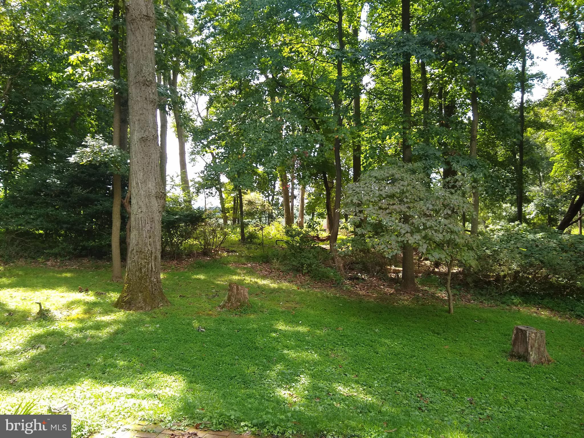 803 Maplehurst Lane Monkton, MD 21111 - Photo 23 of 24 Pictoral view