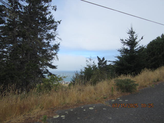 88 Shaker Road Shelter Cove, CA 95589 - Photo 4 of 27 IMG_9677