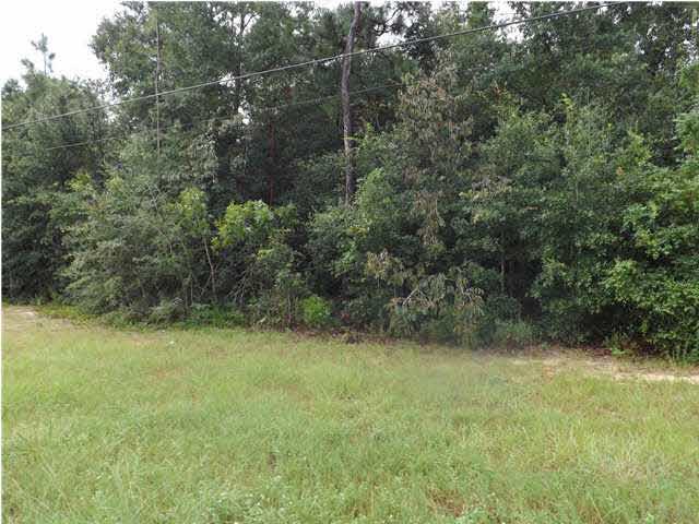 0 Hickory Hammock Road Elberta, FL 36530 - Photo 3 of 5 214 feet frontage