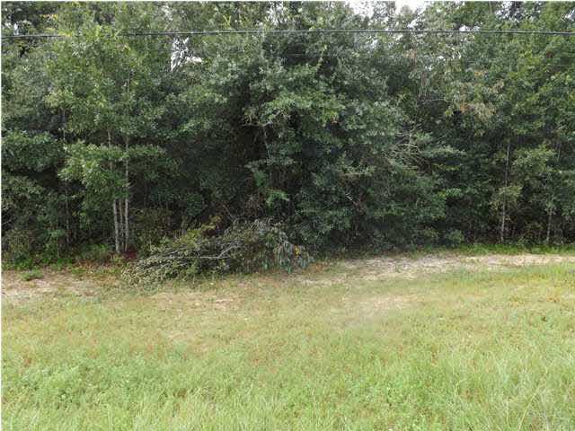 0 Hickory Hammock Road Elberta, FL 36530 - Photo 5 of 5 Level/High and Dry