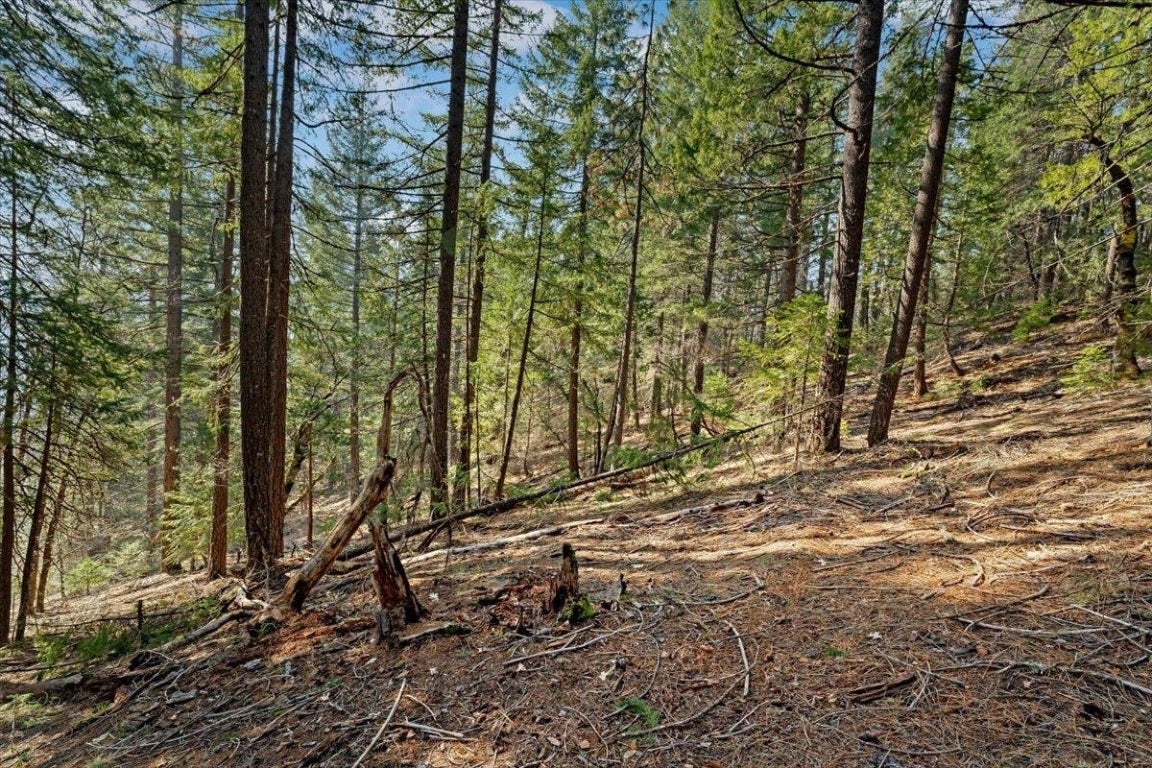 Lot 4 Circle 7 Road McCloud, CA 96057 - Photo 2 of 13 Gallery Image 2