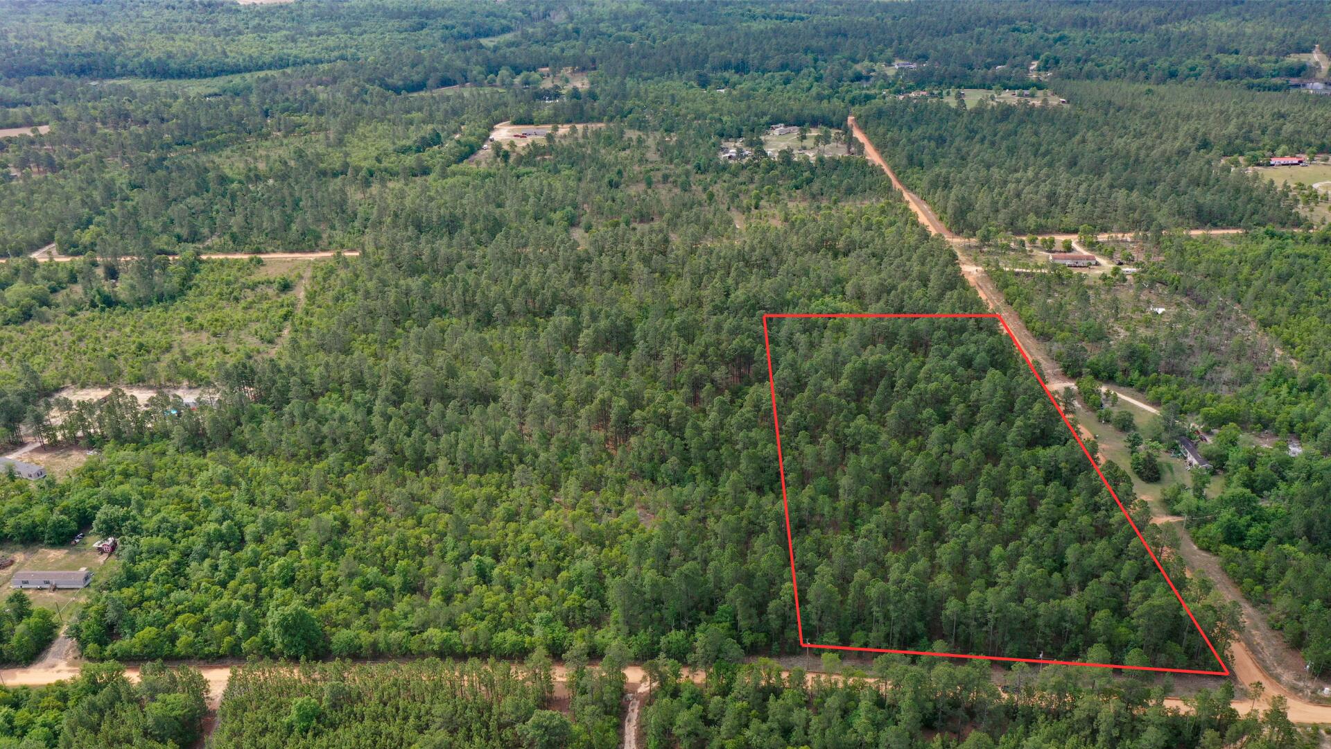 0 Webbs Pond Road Williston, SC 29853 - Photo 1 of 9