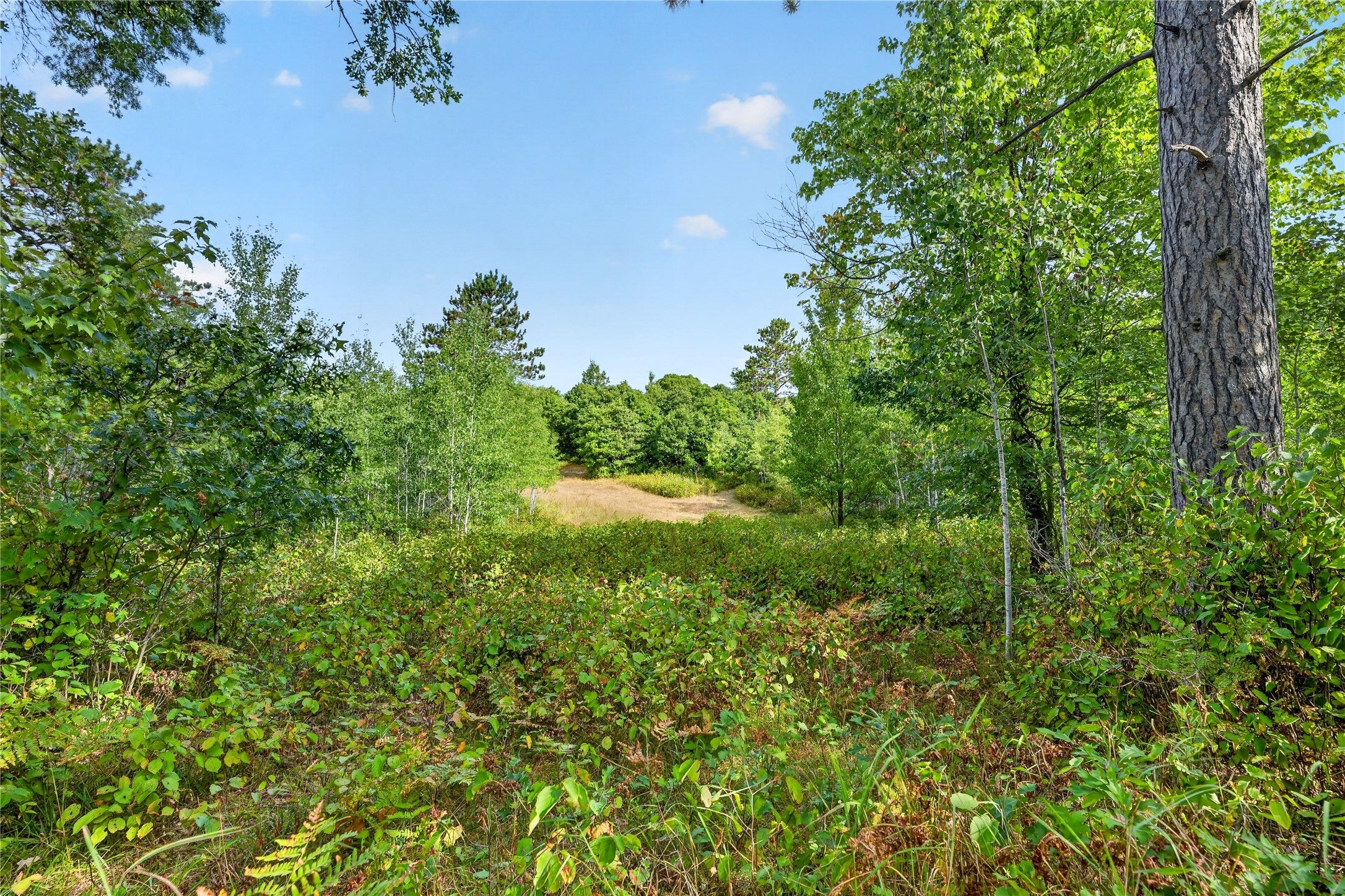 1440 Gronemus Road Barnes, WI 54873 - Photo 12 of 29 Gallery Image 12