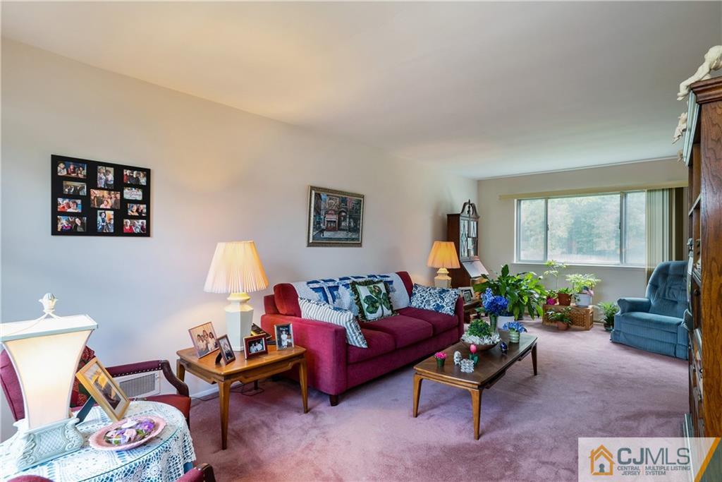 55 Gramercy Road Old Bridge, NJ 08857 - Photo 3 of 22 a living room with furniture and a potted plant