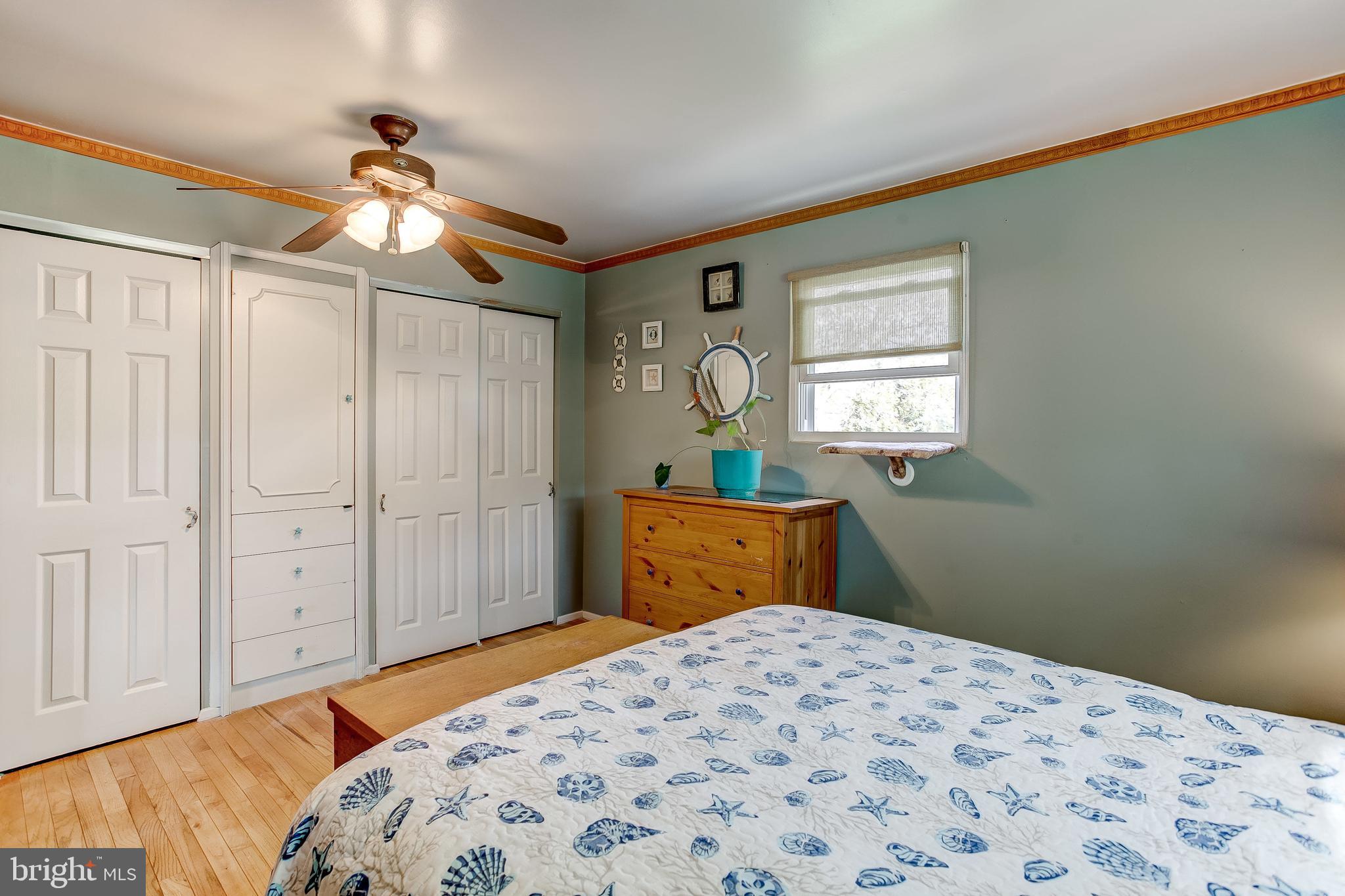 4223 Haycoke Road Baltimore, MD 21236 - Photo 16 of 43 Upstairs master - plenty of light!