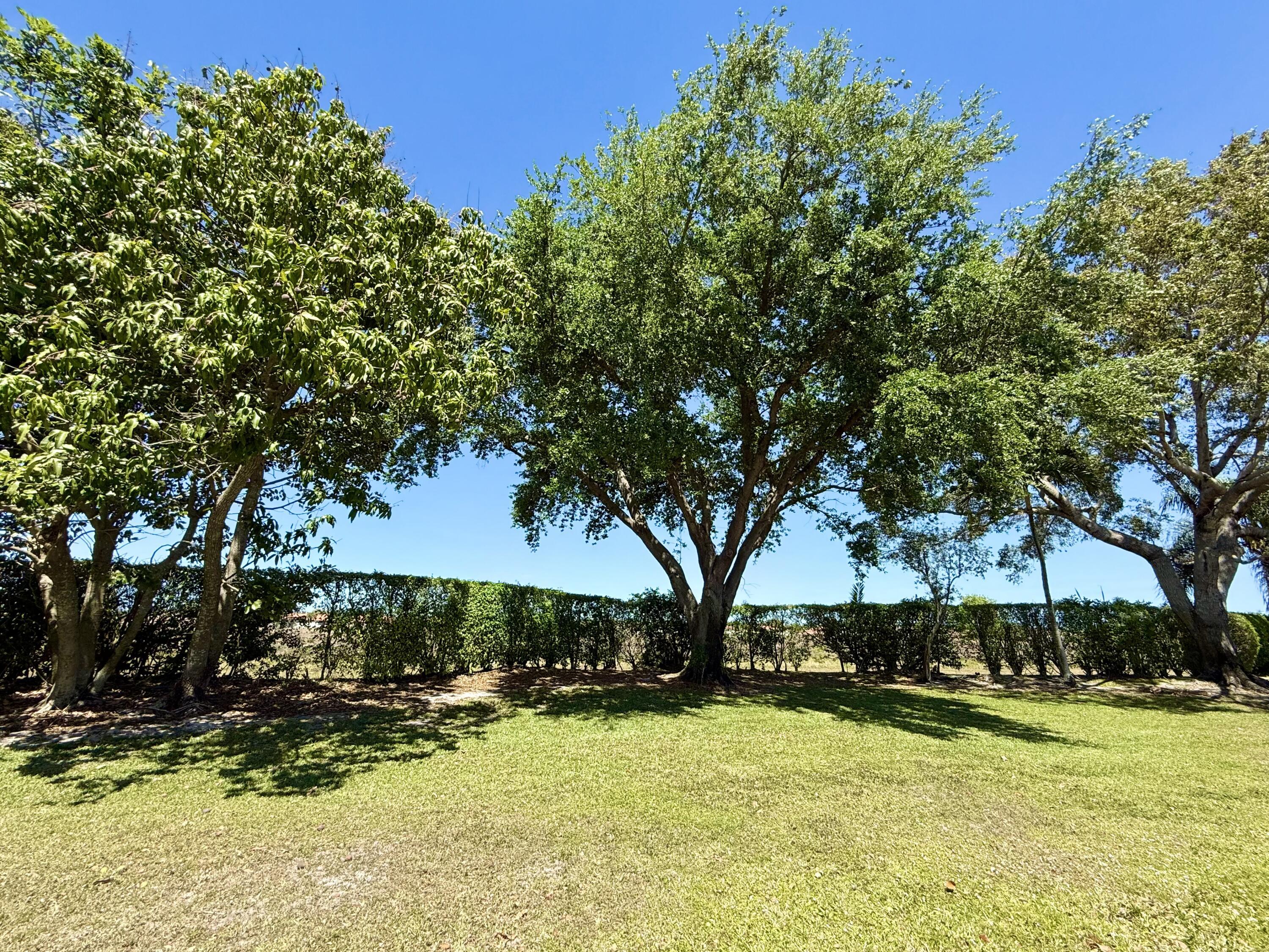 10875 Old Bridgeport Lane Boca Raton, FL 33498 - Photo 31 of 39 No neighbors in rear