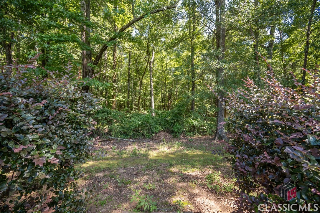 4051 Whitlow Ridge Drive Bishop, GA 30621 - Photo 57 of 75