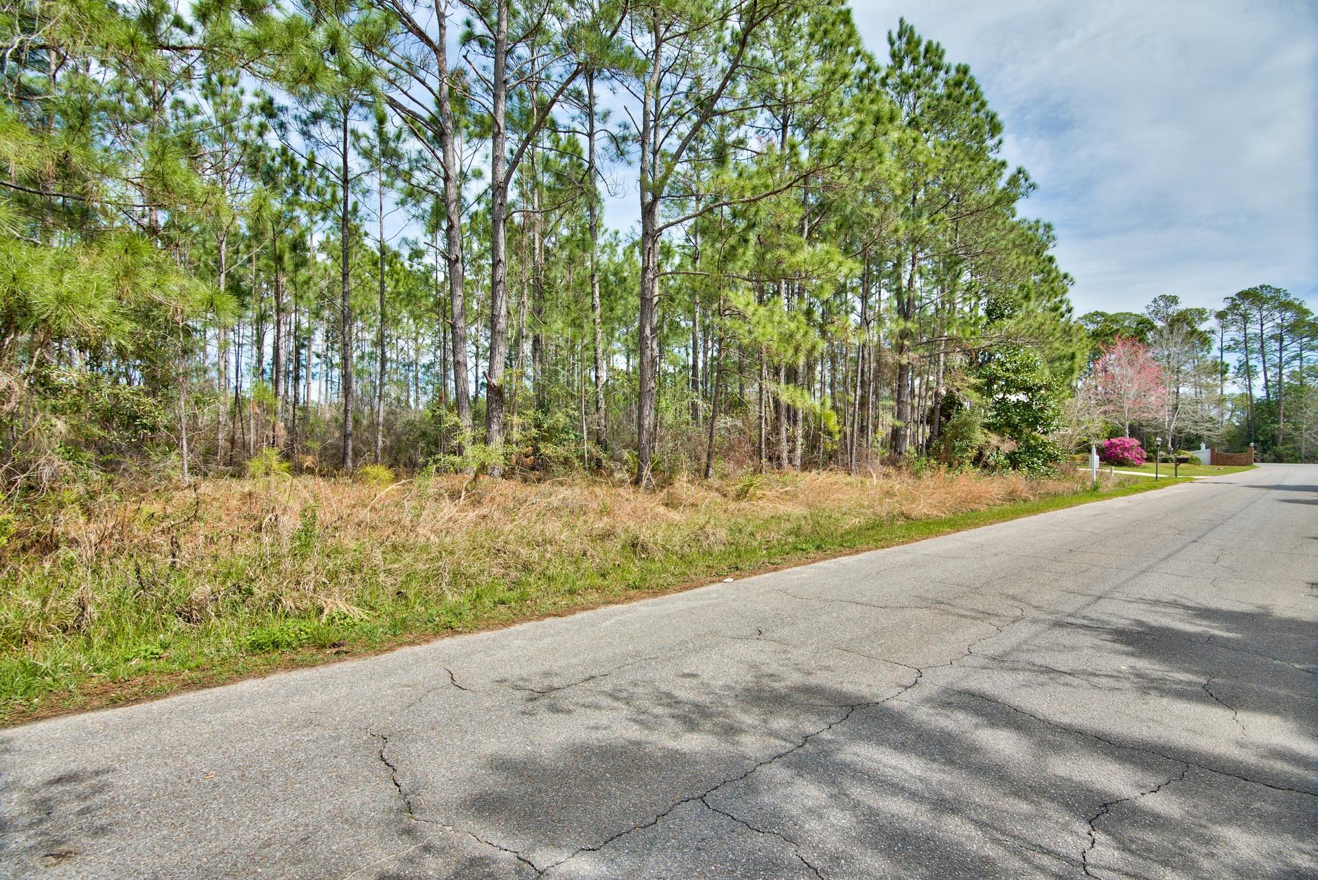 Lot 2 Slalom Way Santa Rosa Beach, FL 32459 - Photo 3 of 6 Street view of lot