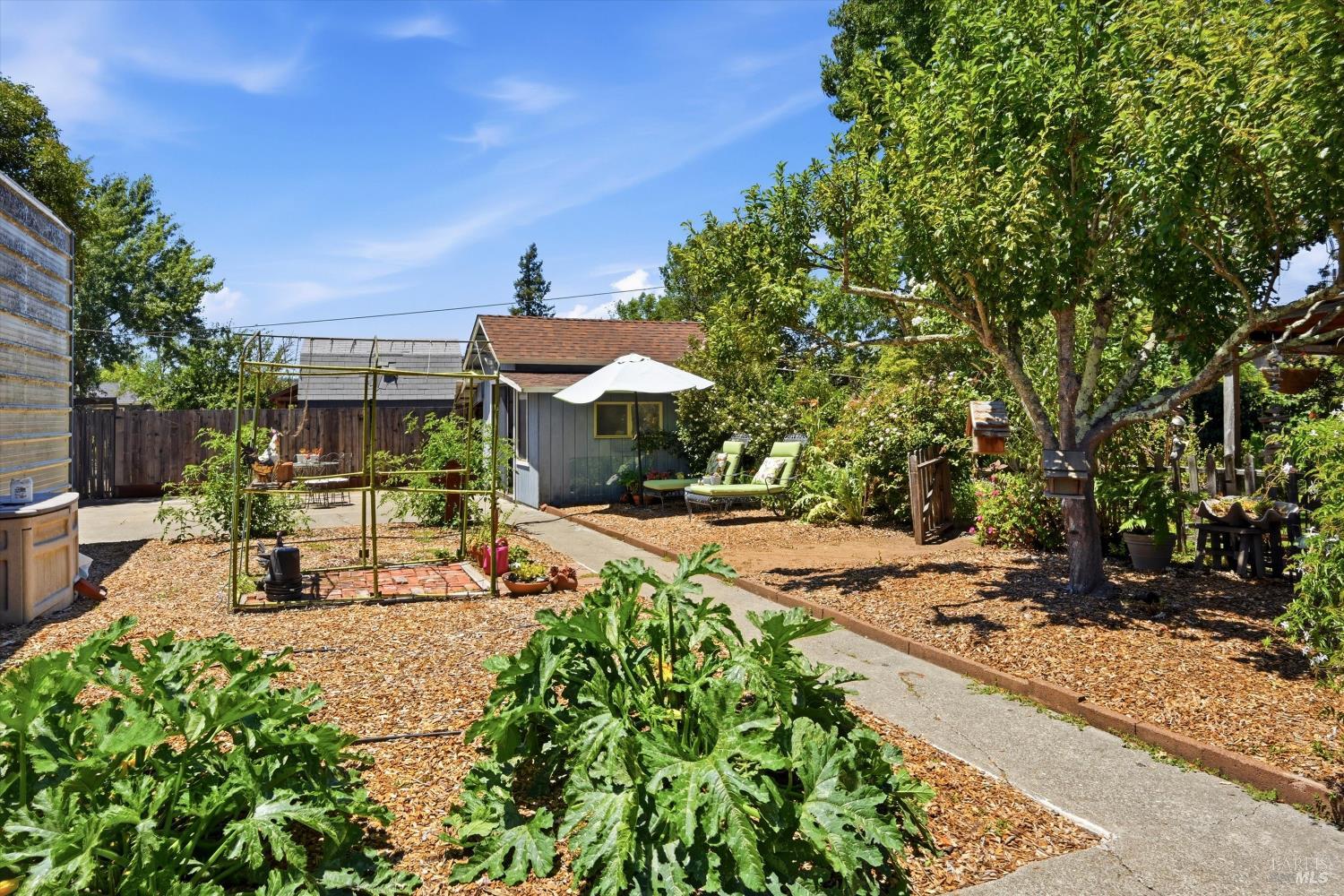 4941 Hansen Drive Santa Rosa, CA 95409 - Photo 27 of 35 Looking from front area of Granny down path to workshop. At left is side of RV carport.