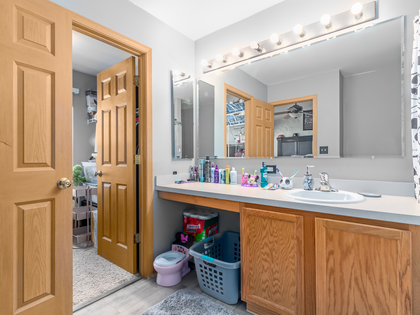 2262 Georgetown Circle Aurora, IL 60503 - Photo 17 of 25 a bathroom with a sink mirror and a shower