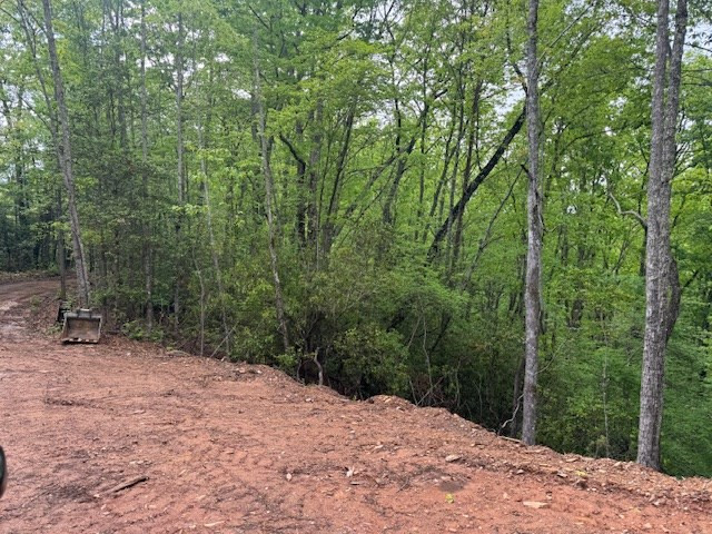 0 Tyler Lane Marble, NC 28905 - Photo 16 of 31