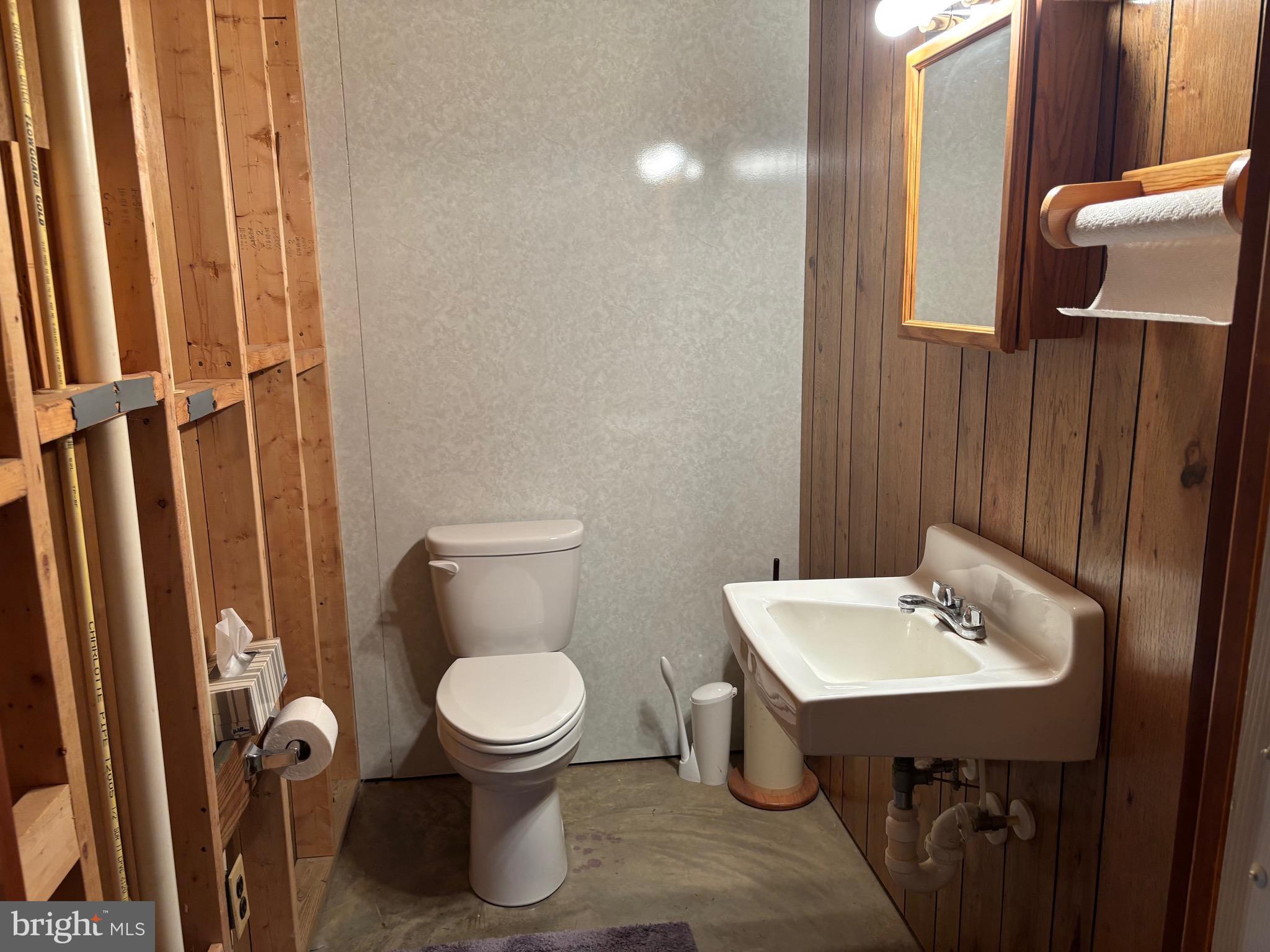 13238 Stonehouse Mountain Road Culpeper, VA 22701 - Photo 25 of 33 Hall bath in basement