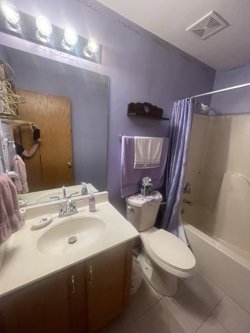 1827 Arbor Falls Drive Plainfield, IL 60586 - Photo 15 of 29 a bathroom with a sink a toilet a mirror and shower