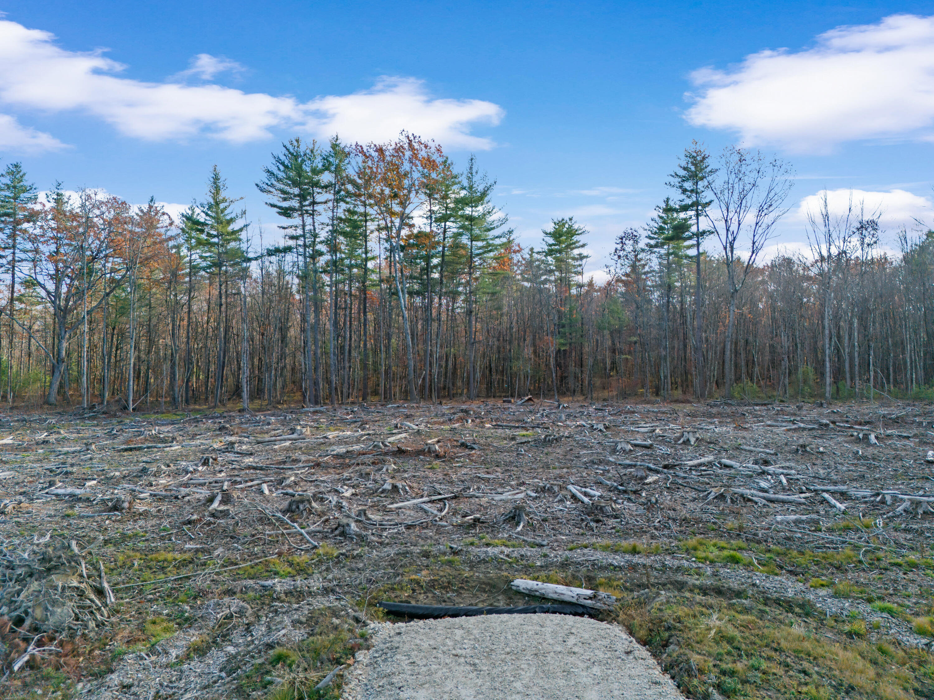 708 River Road, Unit 3 Eliot, ME 03903 - Photo 6 of 14 6-print-Lot 3-10