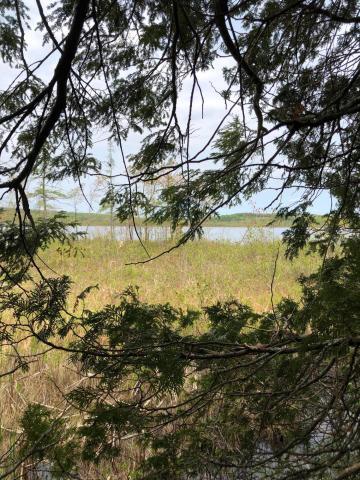 0 Dexter Road St. Albans, ME 04971 - Photo 1 of 6 20190606192211425724000000-o