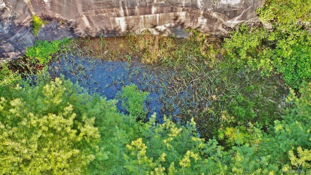 Marsh Road Fallsburg, NY 12733 - Photo 10 of 20