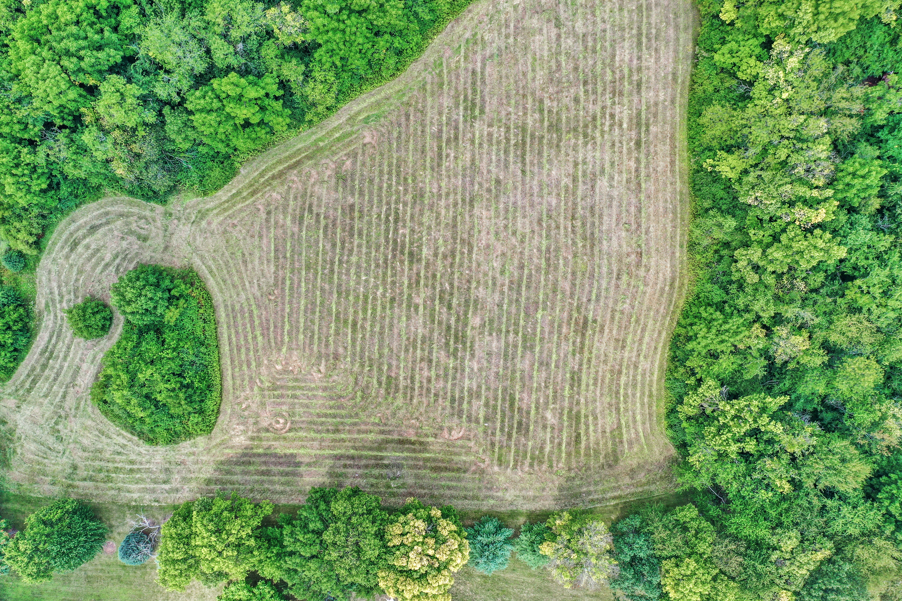 6684 Travis Road Greenwood, IN 46143 - Photo 17 of 20