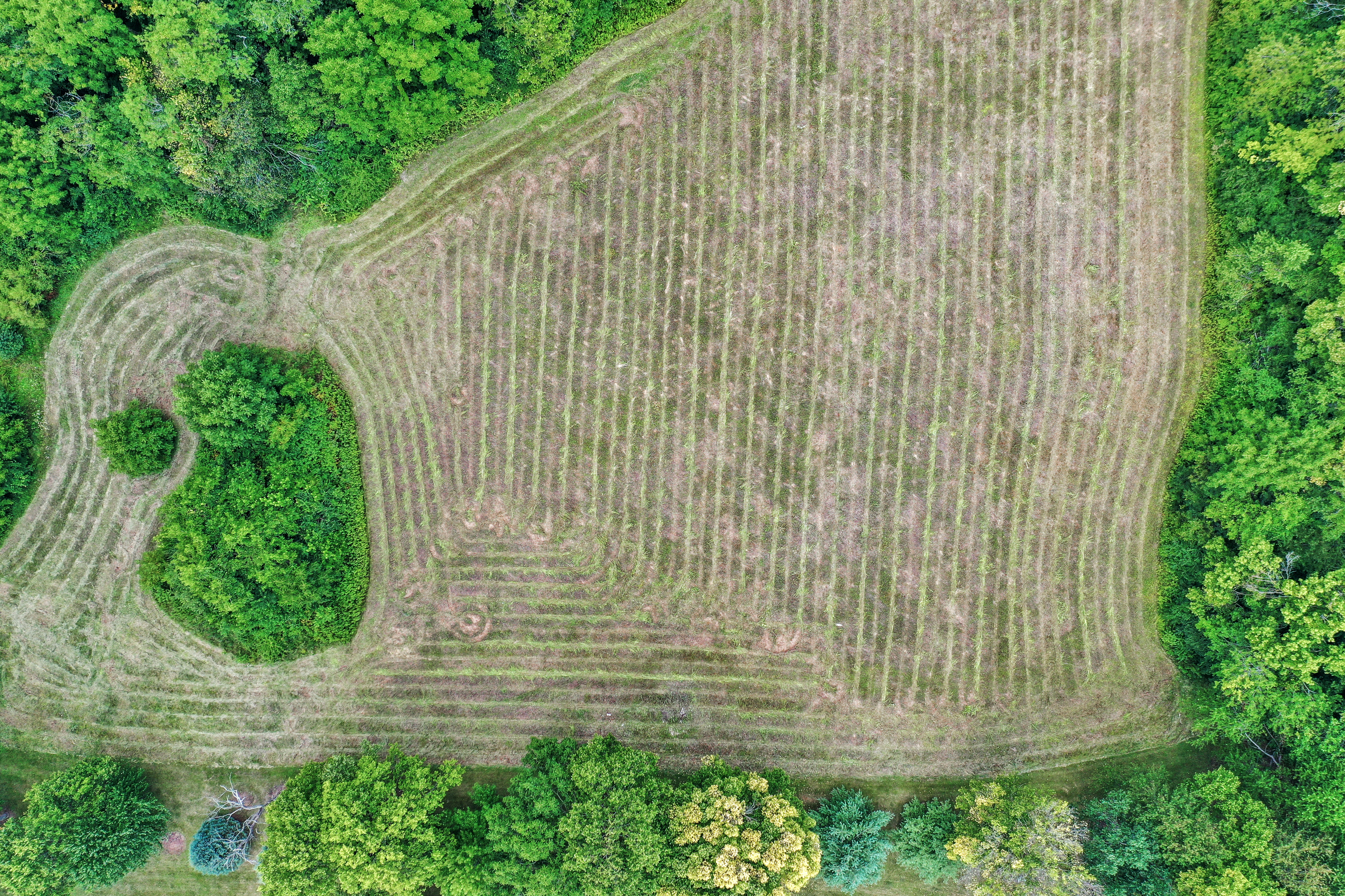 6684 Travis Road Greenwood, IN 46143 - Photo 18 of 20