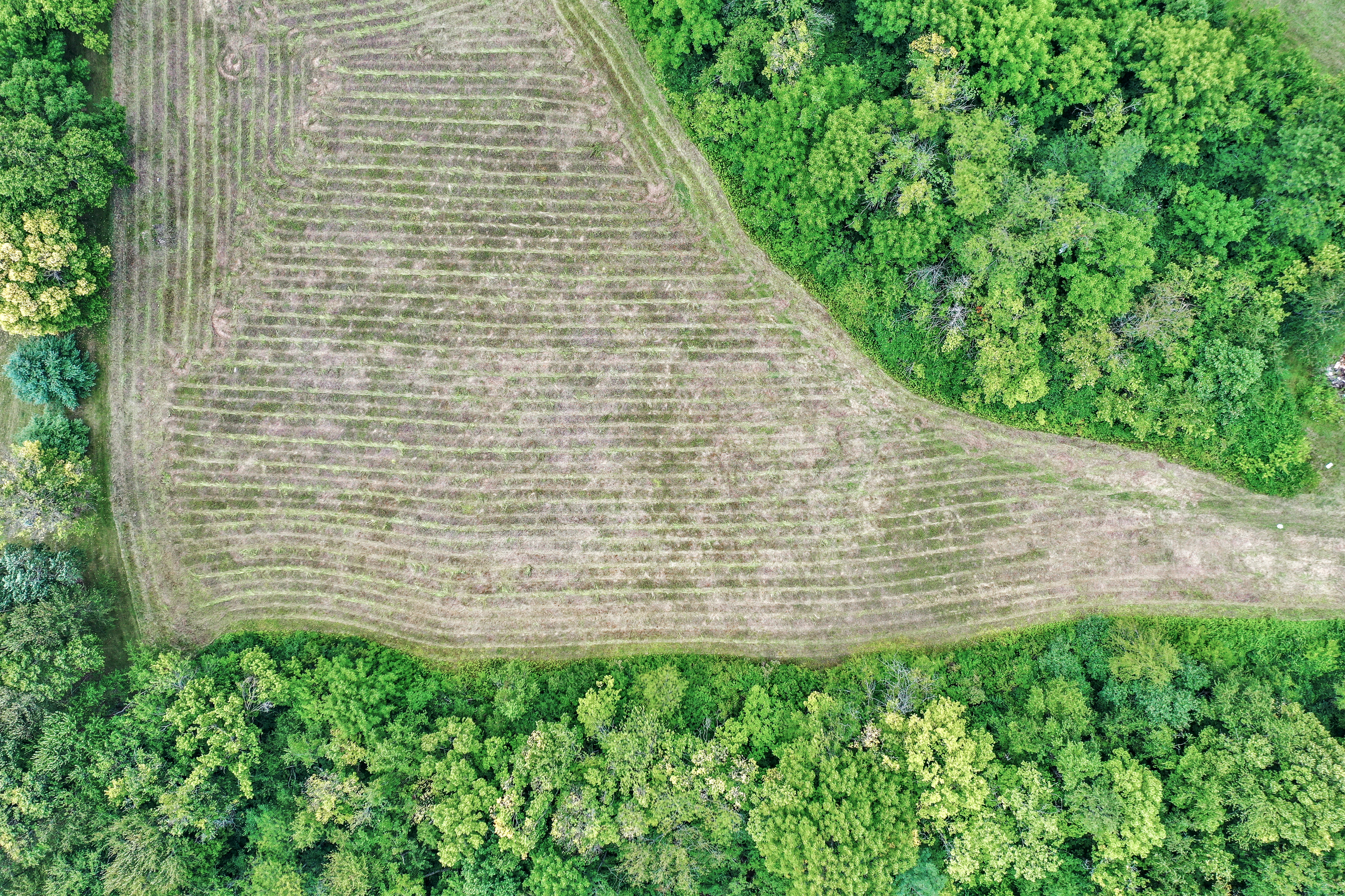 6684 Travis Road Greenwood, IN 46143 - Photo 19 of 20