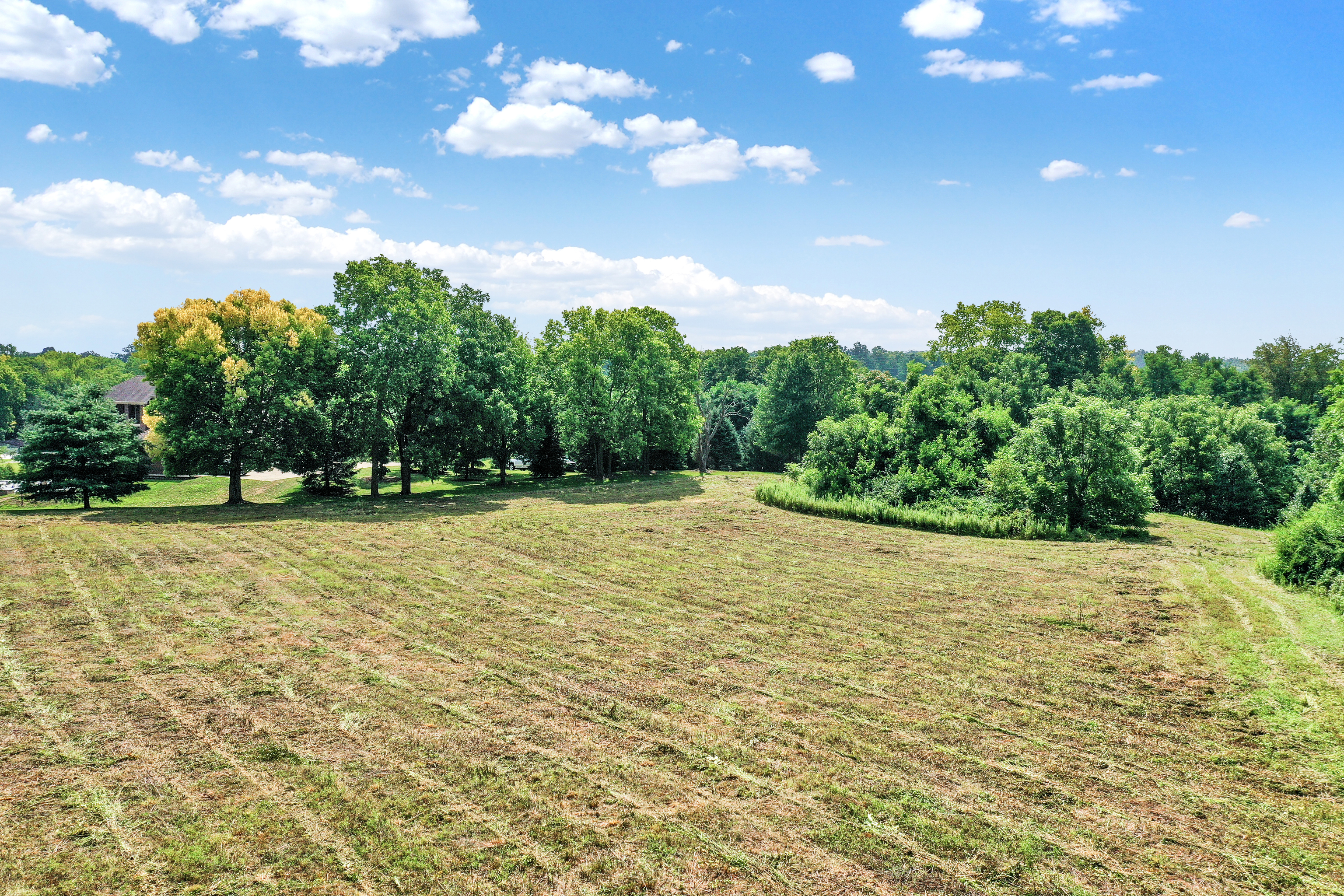 6684 Travis Road Greenwood, IN 46143 - Photo 8 of 20