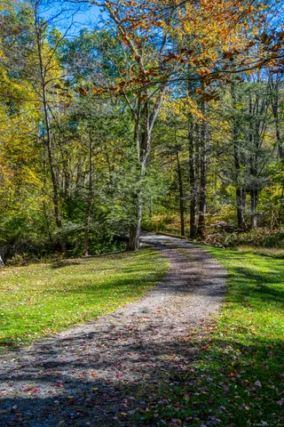 a view of a backyard with large trees