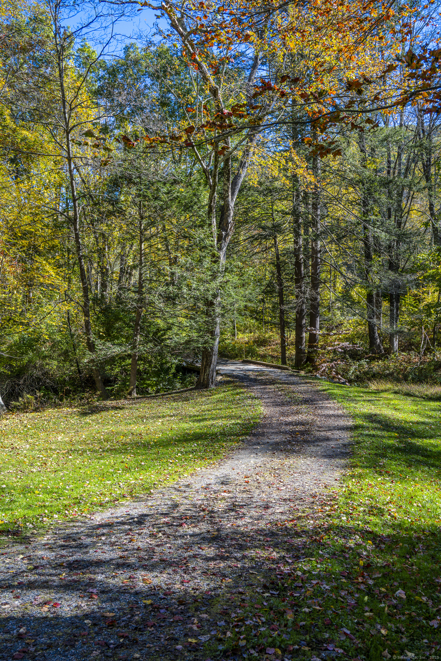 103 Geer Mountain Road South Kent, CT 06785 - Photo 11 of 36 a view of a backyard with large trees