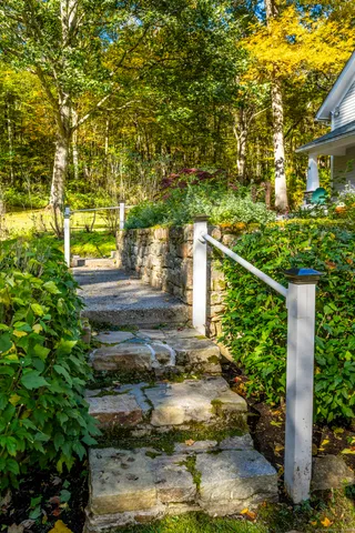 a view of yard along with trees