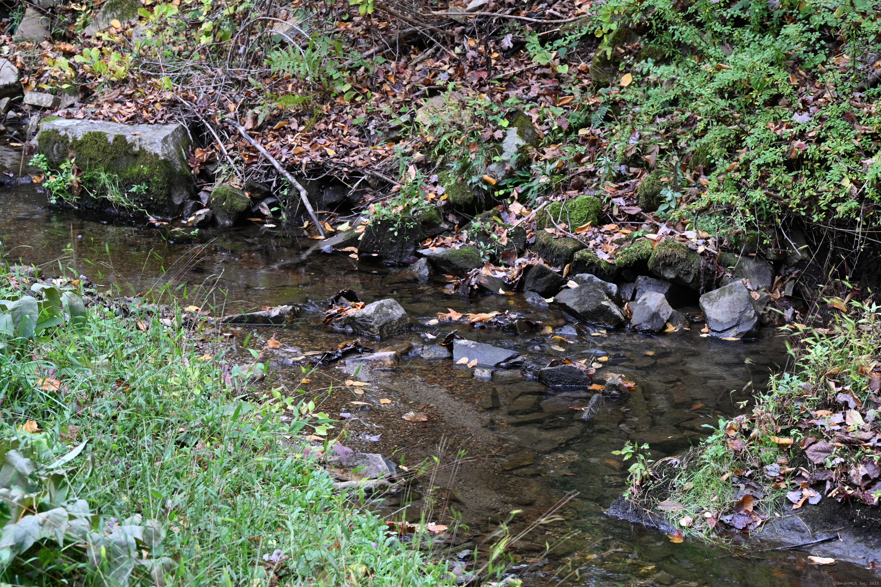 103 Geer Mountain Road South Kent, CT 06785 - Photo 36 of 36 a view of a tree with a tree