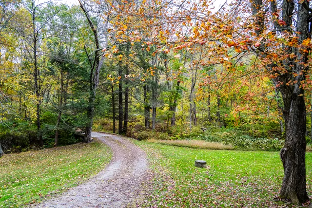 a view of a yard with large trees
