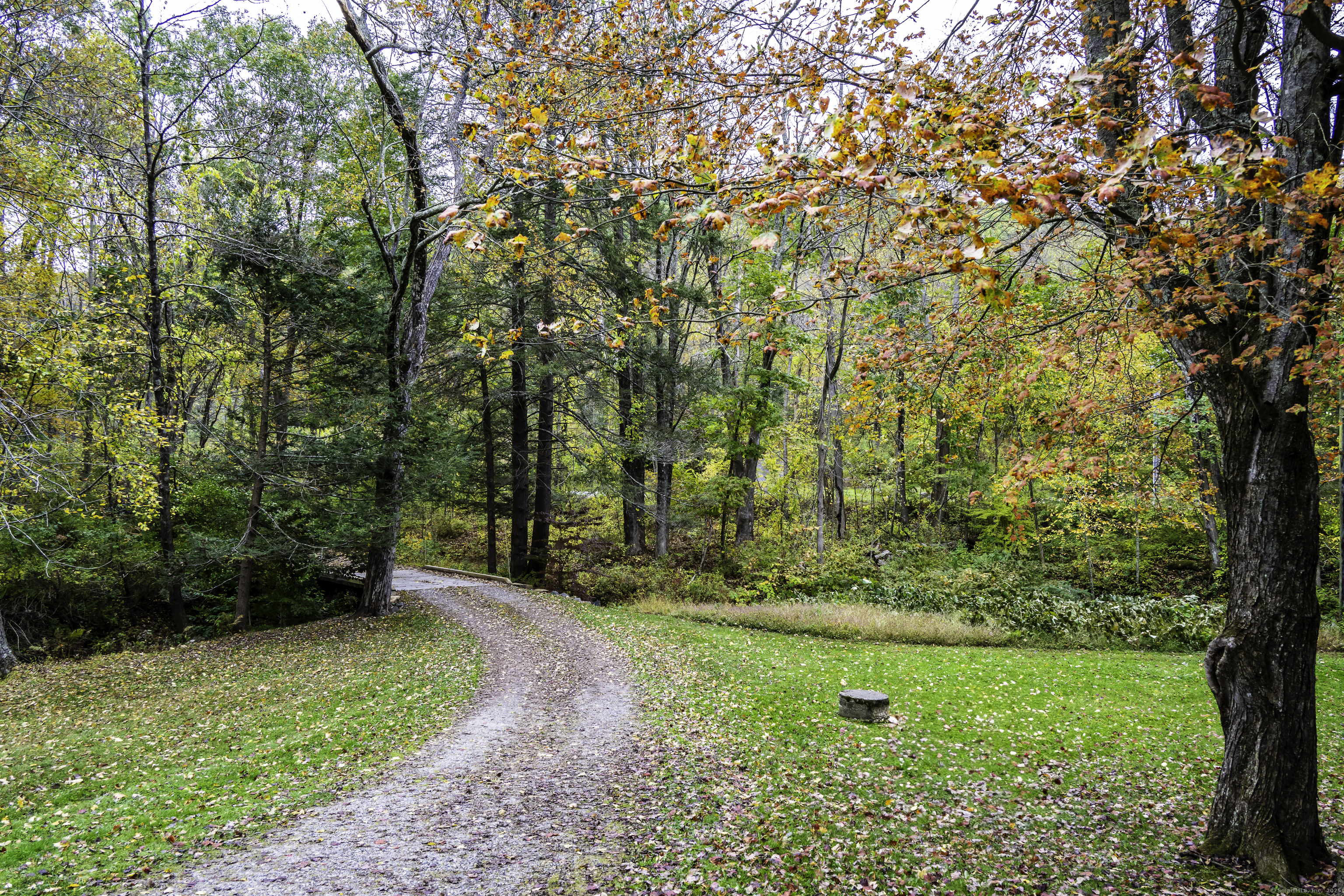 103 Geer Mountain Road South Kent, CT 06785 - Photo 5 of 36 a view of a yard with large trees