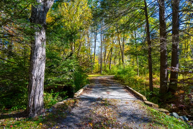 a backyard of a house with lots of green space