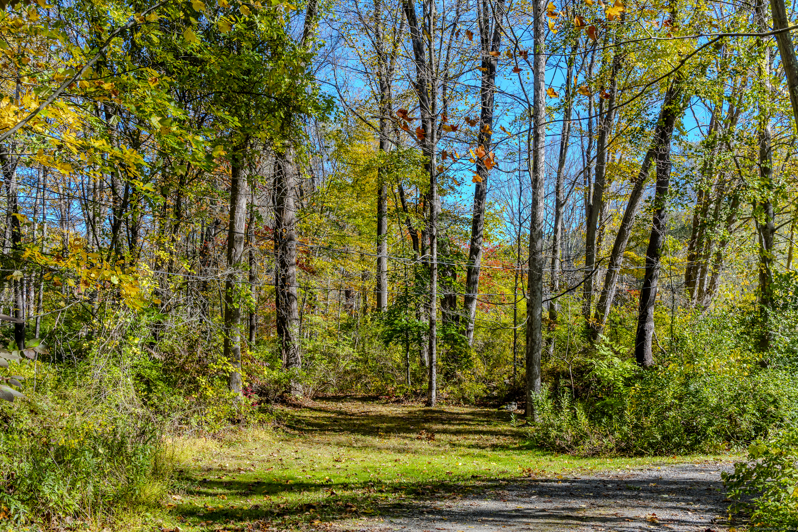 103 Geer Mountain Road South Kent, CT 06785 - Photo 9 of 36 a view of a yard