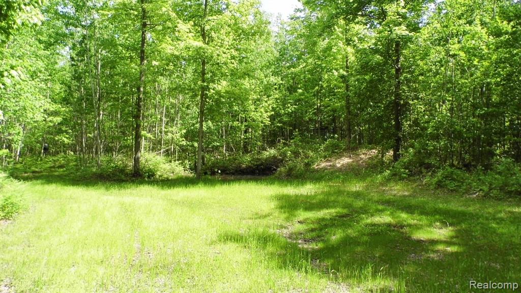 0 South Murray Road Caro, MI 48723 - Photo 12 of 14