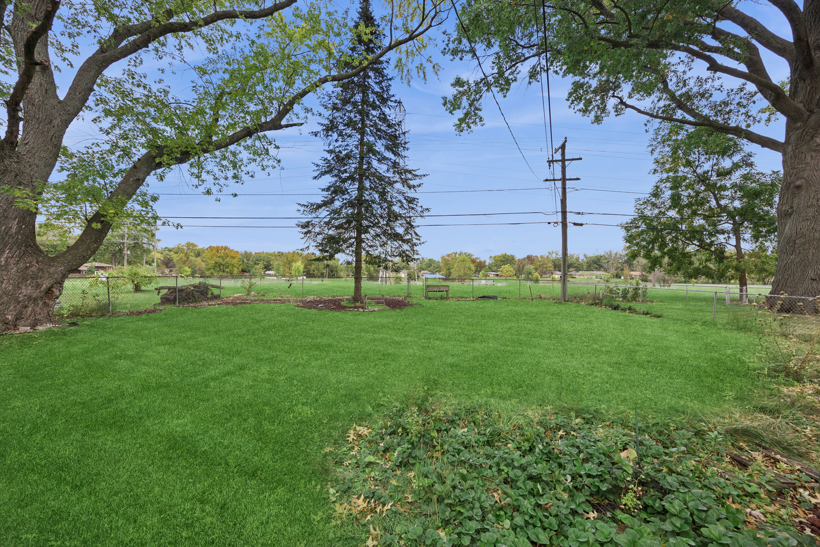 356 Winnebago Street Park Forest, IL 60466 - Photo 14 of 17