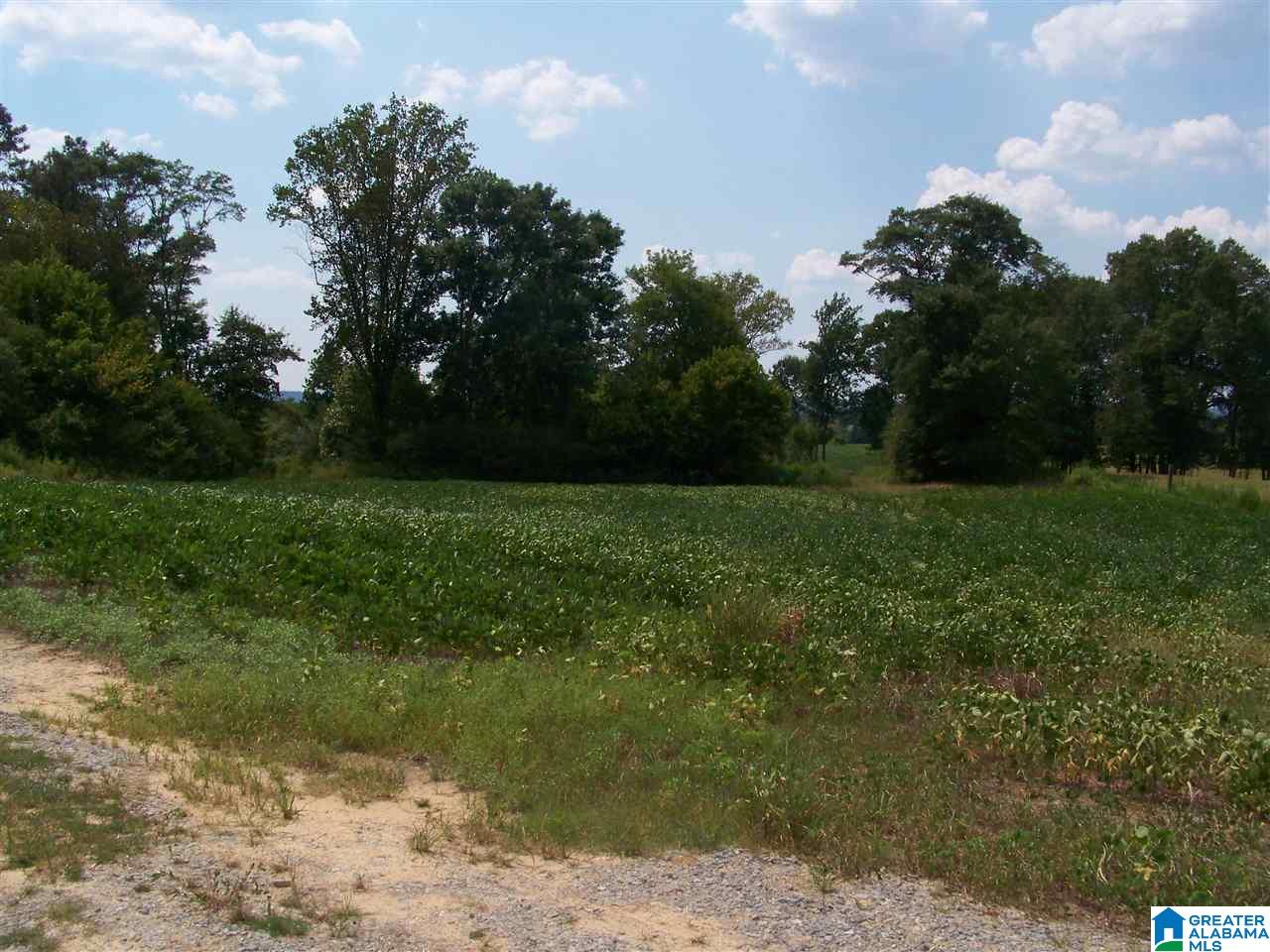 Hanson Road, Unit 33 Horton, AL 35980 - Photo 8 of 9