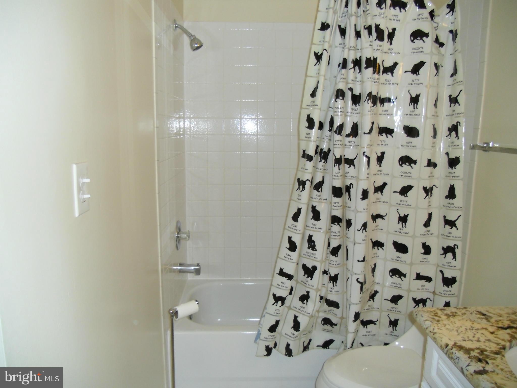 5804 Royal Ridge Drive, Unit G Springfield, VA 22152 - Photo 19 of 24 Bath