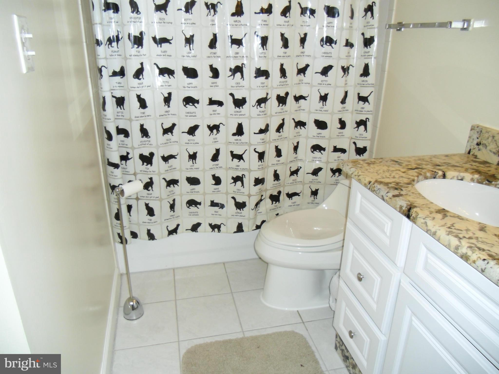 5804 Royal Ridge Drive, Unit G Springfield, VA 22152 - Photo 10 of 24 Bath