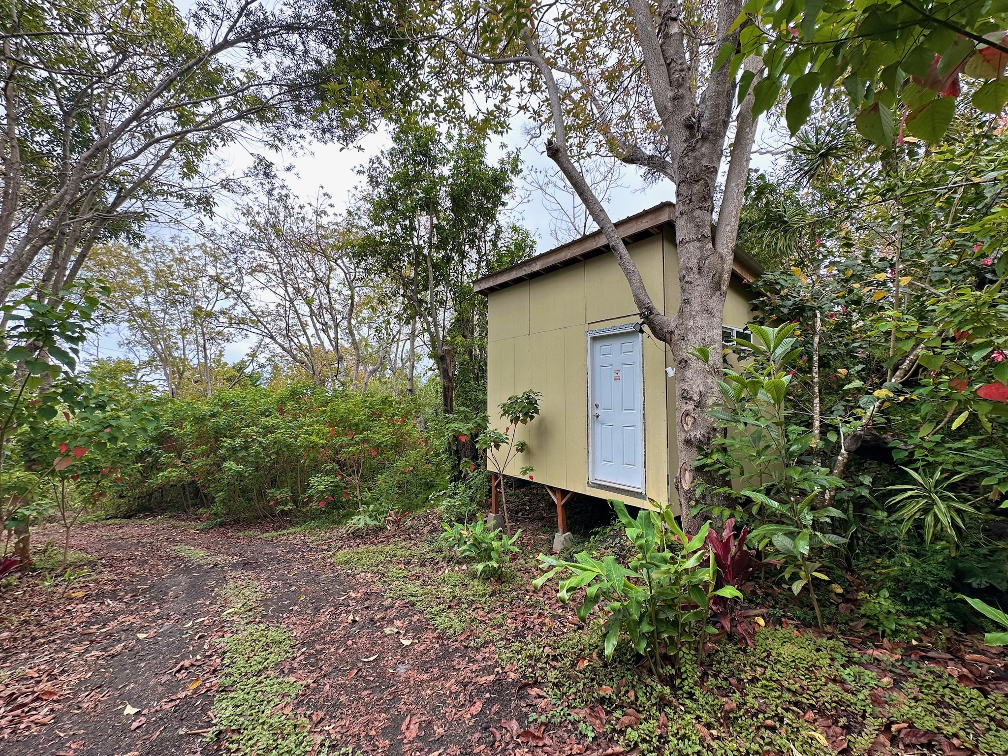 92-2083 Kailua Boulevard Ocean View, HI 96704 - Photo 24 of 30 a backyard of a house with lots of green space