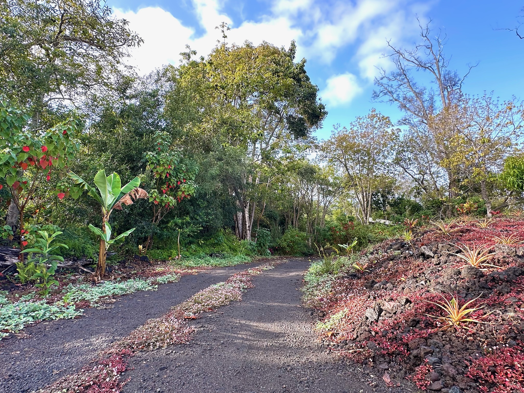 92-2083 Kailua Boulevard Ocean View, HI 96704 - Photo 25 of 30 a big yard with flowing stream of water in middle