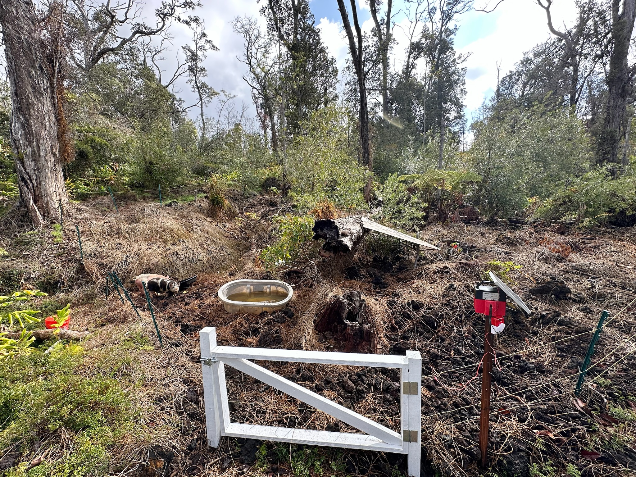 92-2083 Kailua Boulevard Ocean View, HI 96704 - Photo 26 of 30 a view of outdoor space and yard
