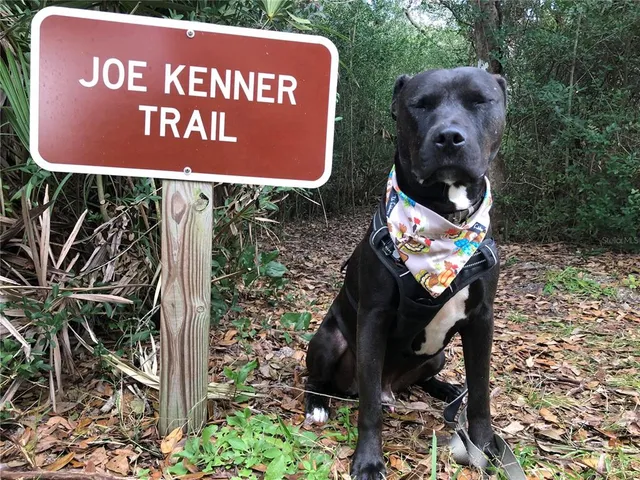 $250,250 | 50 Ocean Palm Villa South, Flagler Beach, FL 32136