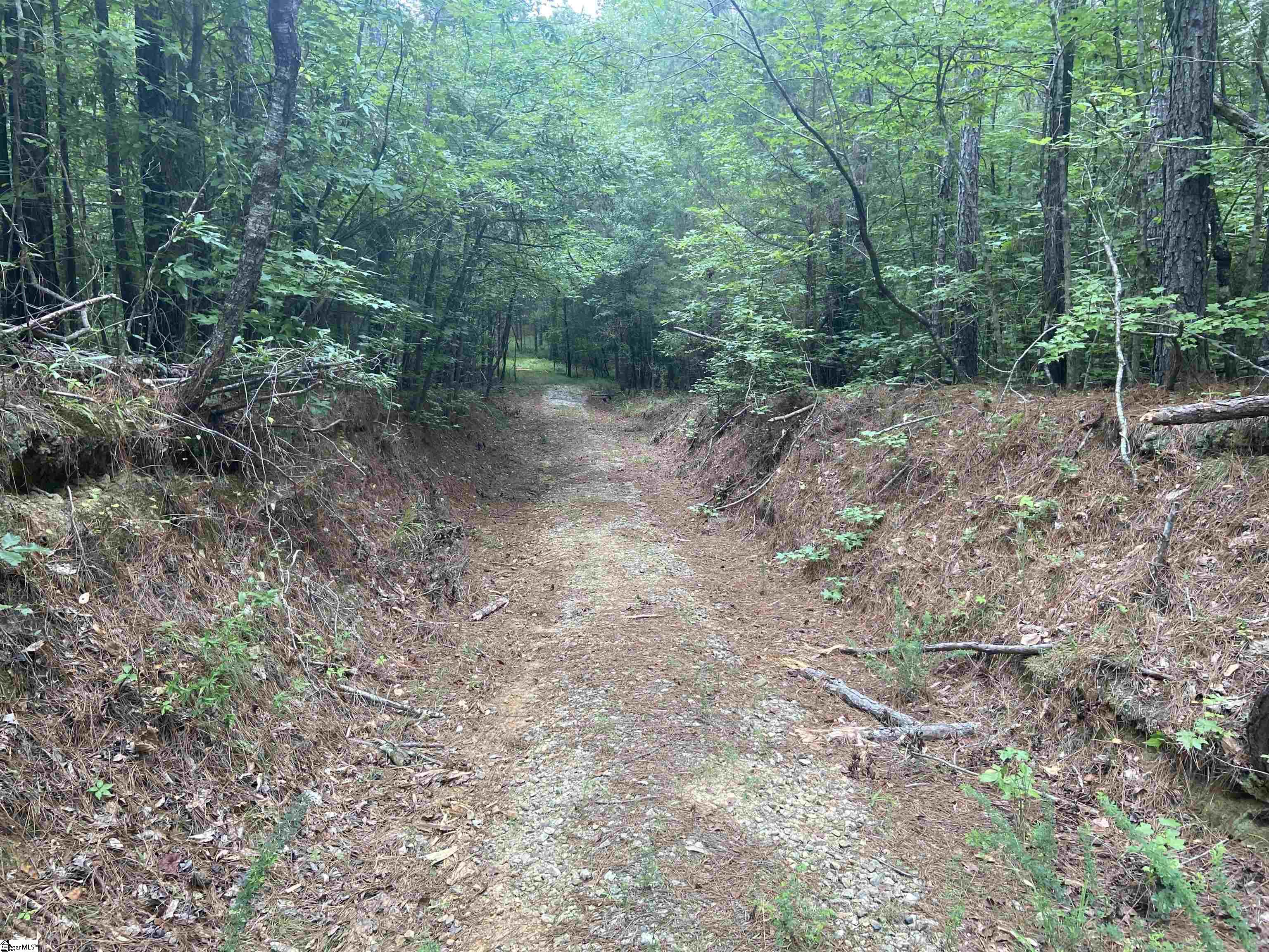 Catfish Cove Road Waterloo, SC 29384 - Photo 12 of 21