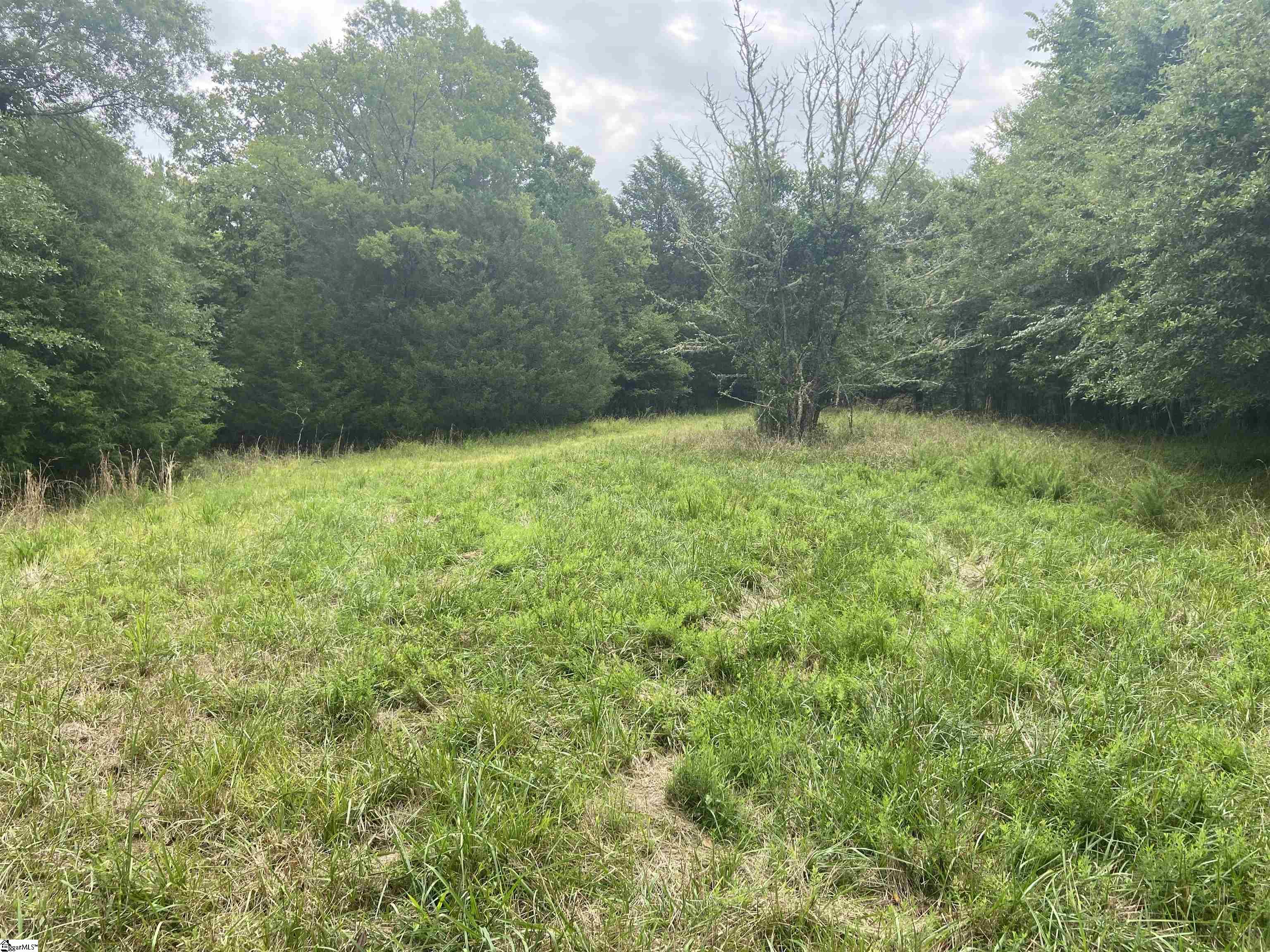 Catfish Cove Road Waterloo, SC 29384 - Photo 13 of 21