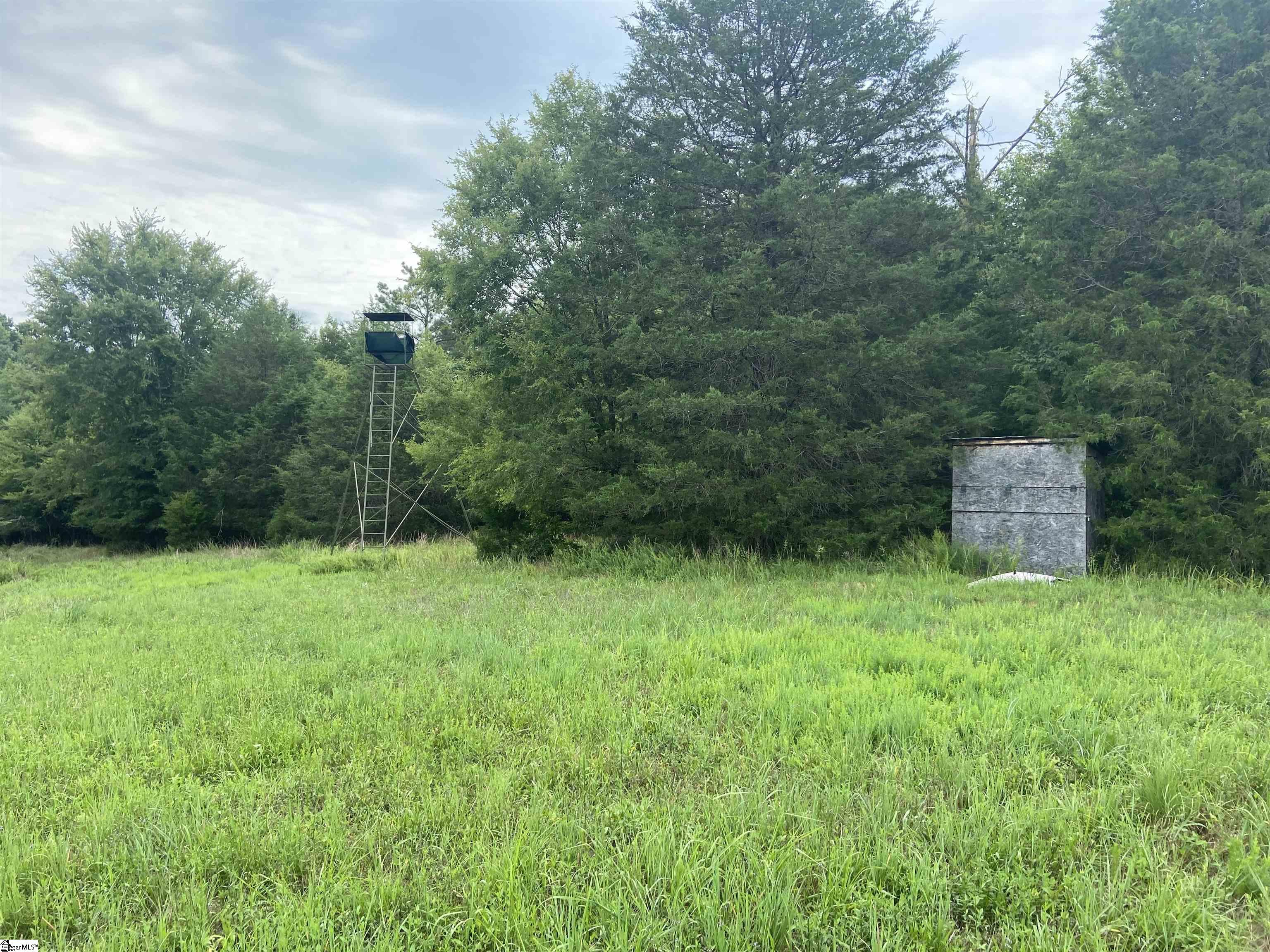 Catfish Cove Road Waterloo, SC 29384 - Photo 14 of 21