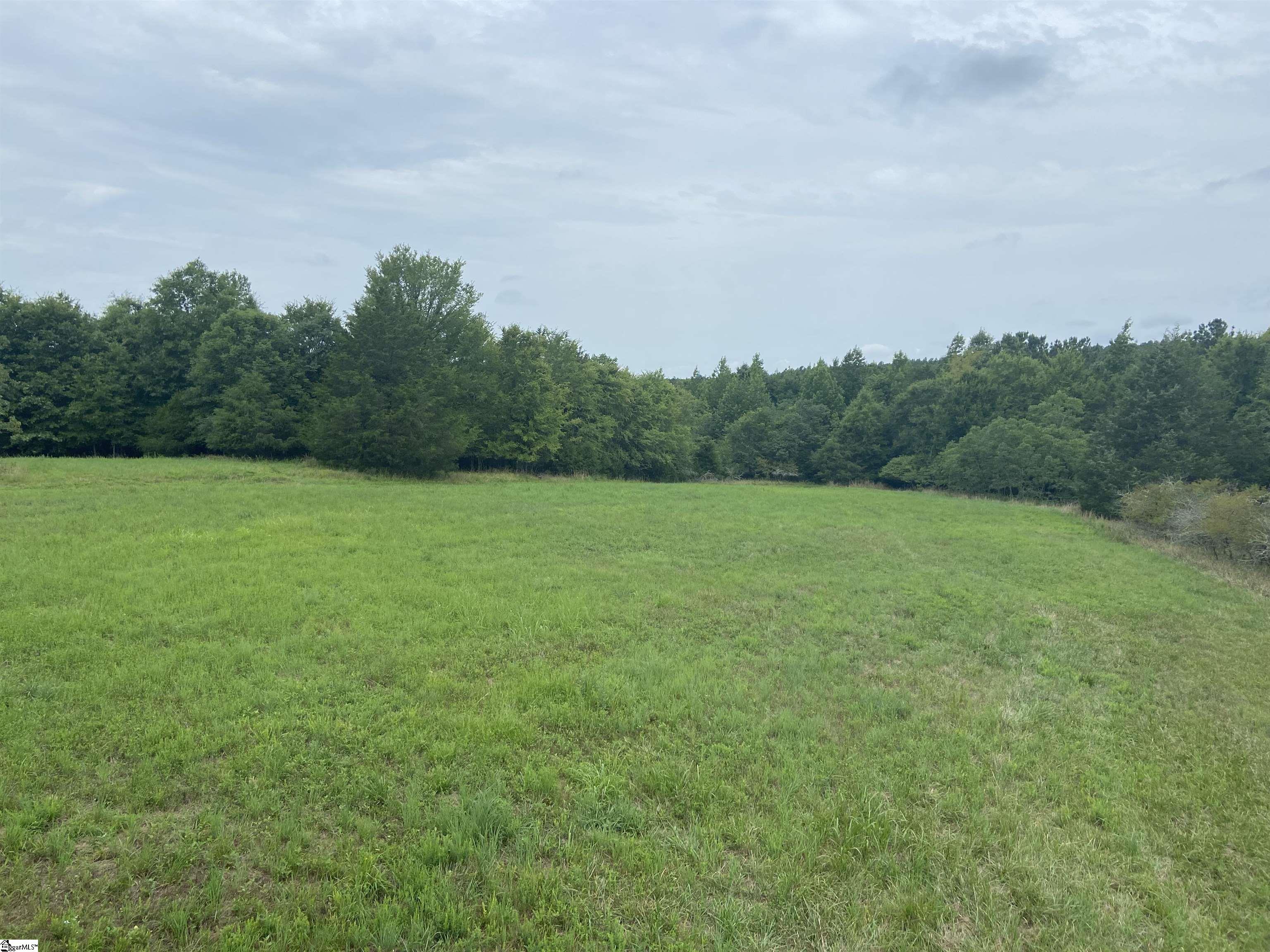 Catfish Cove Road Waterloo, SC 29384 - Photo 15 of 21